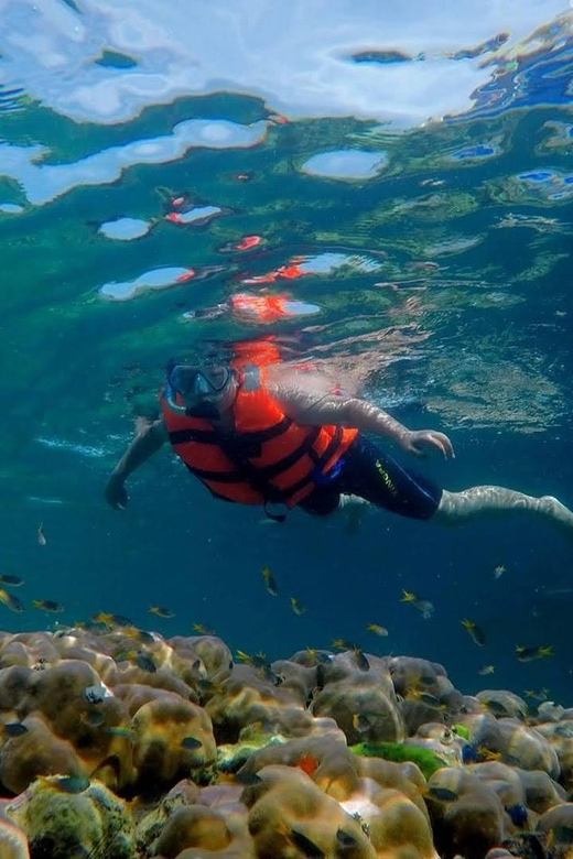 Lanta's Hidden Gems: 4 Islands by Traditional Longtail Boat - Four things to know before you book