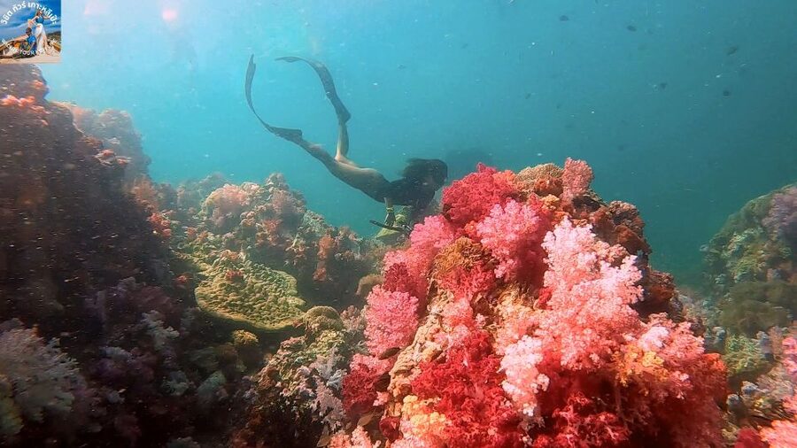 Lipe: Longtail Boat Snorkeling to Outer Islands Program B - Koh Peung, where the current matters