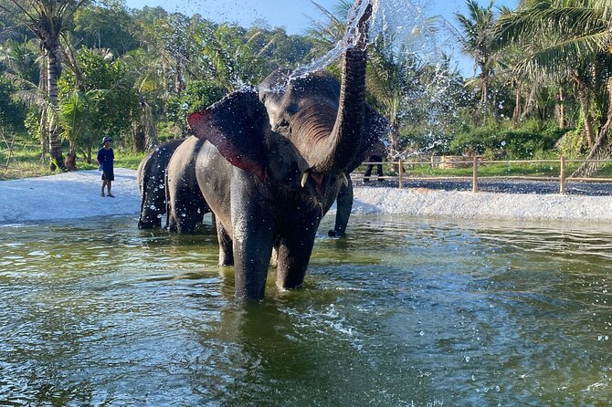 Living Green Elephant Sanctuary Experience near Bangkok & Pattaya - Key points to know before booking