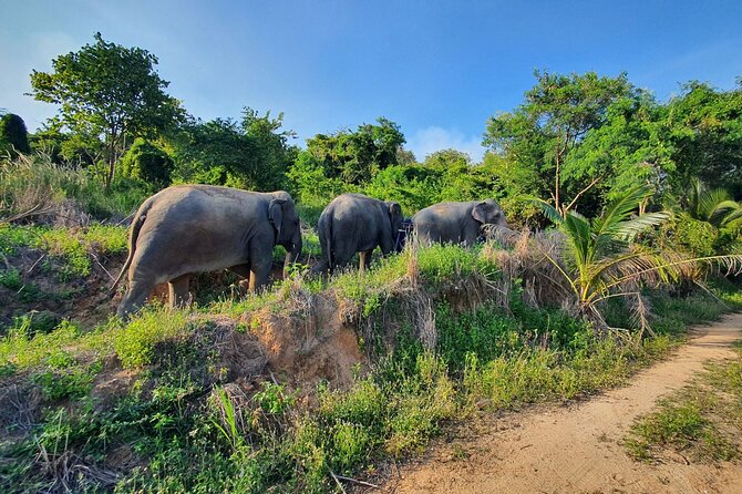 Living Green Elephant Sanctuary Experience near Bangkok & Pattaya - Changing into a traditional shirt