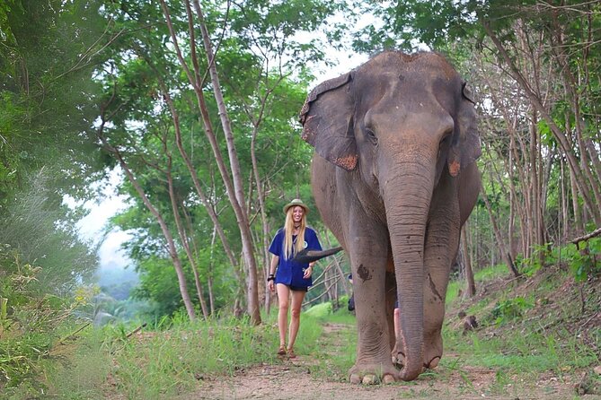 Living Green Elephant Sanctuary Tour from Bangkok and Pattaya - Key points to know before booking