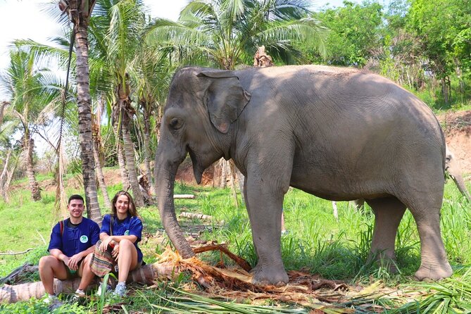 Living Green Elephant Sanctuary Tour from Bangkok and Pattaya - Why the elephant care matters