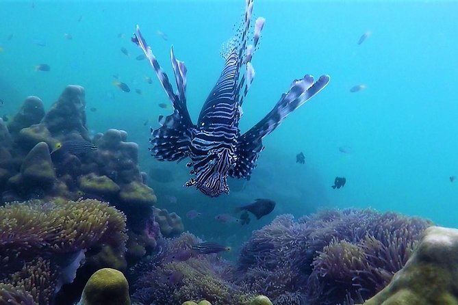 Local Reef Snorkelling and Deserted Beach - How the weather can change the plan
