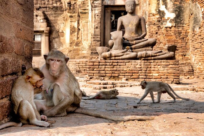 Lopburi Monkey Temple & Ayutthaya Old City Tour From Bangkok - Why this Bangkok day trip packs in so much