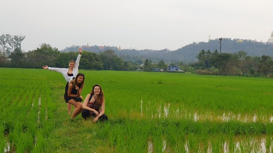 Meditation Retreat and Self-Care in Nature - Tea, coffee, fruit, and Thai snacks