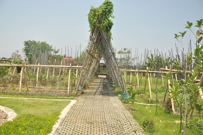 Morning Cooking Class in Organic Farm with Local Market Tour - Who should book this experience