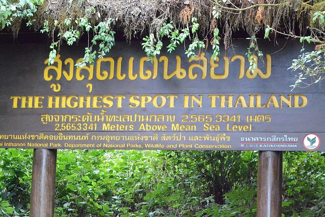 Mount Doi Inthanon Hiking & Bird Watching - What the guides add to the experience