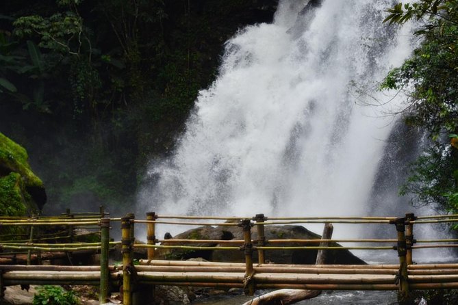 Mount Doi Inthanon Hiking & Bird Watching - Who should book this Doi Inthanon day?