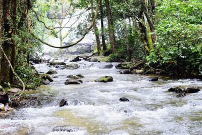 Mount Doi Inthanon National Park Sunrise and Hiking