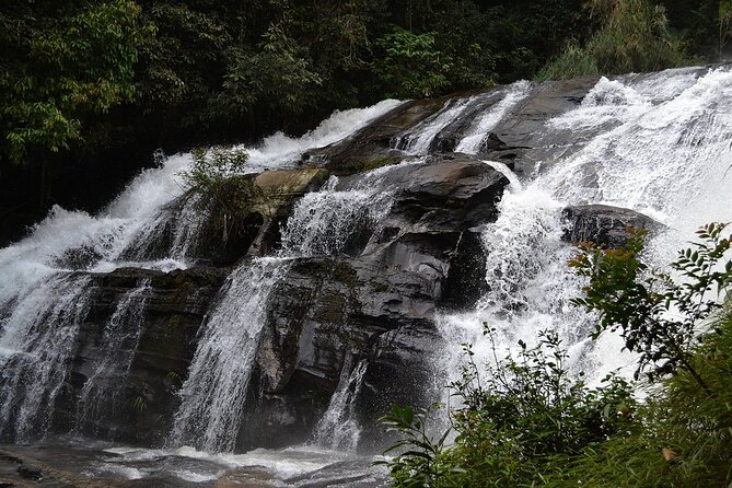 Mount Doi Inthanon National Park Sunrise and Hiking - Is $126.51 a Fair Price?