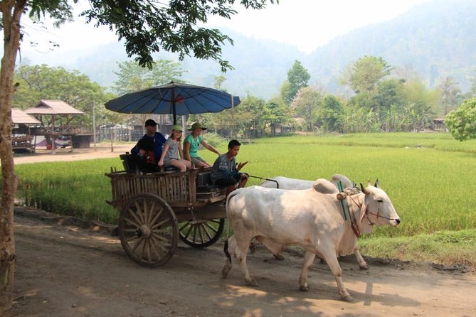 Nakhon Nayok adventure full day trip with lunch - Khun Dan Prakan Chon Dam and the River Section