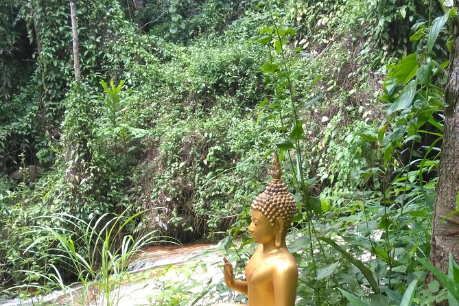 No.1 Chiang Mai: 3-Hour Monk Trail Hike to Wat Doi Suthep & Palad - Route changes during fire season