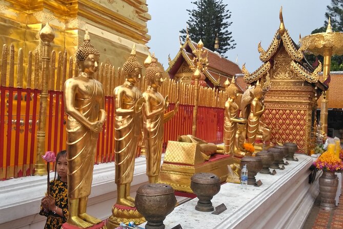 No.1 Chiang Mai: 3-Hour Monk Trail Hike to Wat Doi Suthep & Palad - What the guide can add to the day