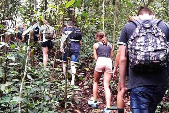 No.1 Chiang Mai: 3-Hour Monk Trail Hike to Wat Doi Suthep & Palad - Wat Pha Lat, the calmest stop on the route