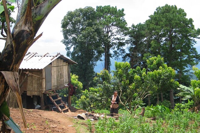 No.1 Chiang Mai: Advanced Downhill Mountain Biking, Suthep N.Park - Group size, timing, and what to bring