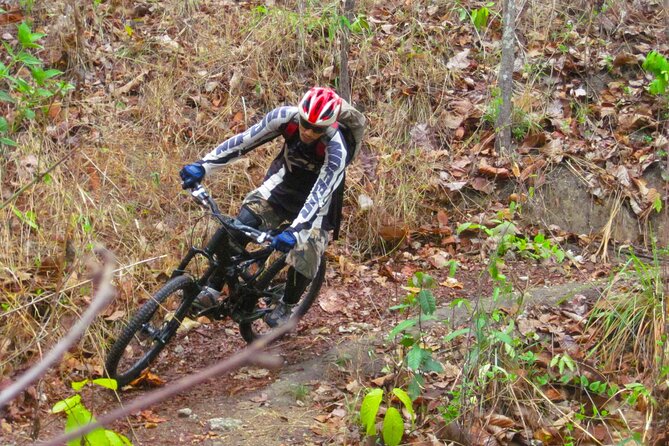 No.1 Chiang Mai: Advanced Downhill Mountain Biking, Suthep N.Park - Booking, cancellation, and final advice
