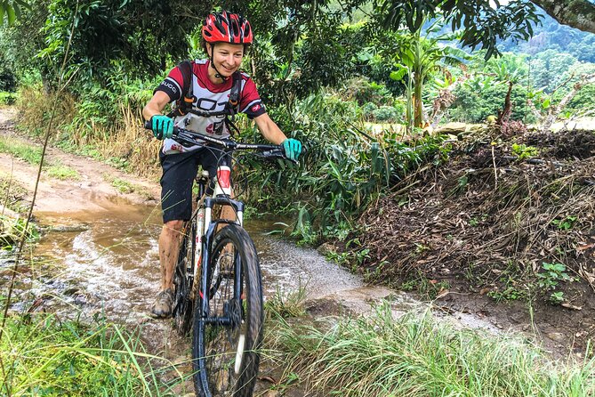 No.1 Chiang Mai: Advanced Downhill Mountain Biking, Suthep N.Park - Forest views, hill villages, and the Mae Ping valley