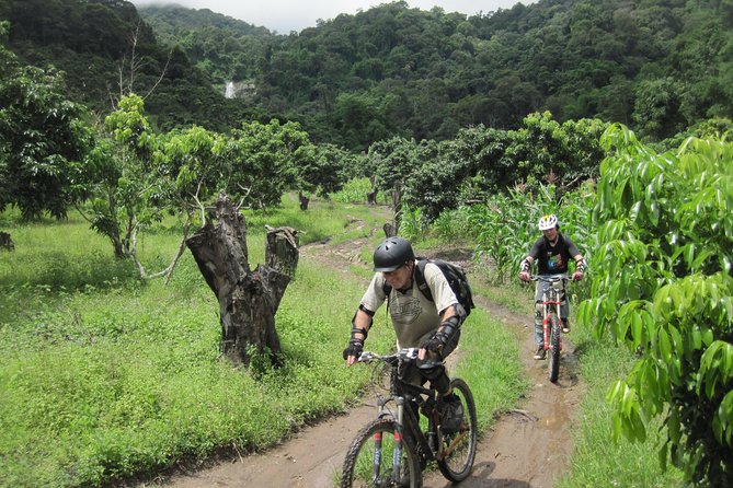 No.1 Chiang Mai: Advanced XC Downhill Biking, Doi Suthep N. Park - Is this the right mountain bike trip for you?