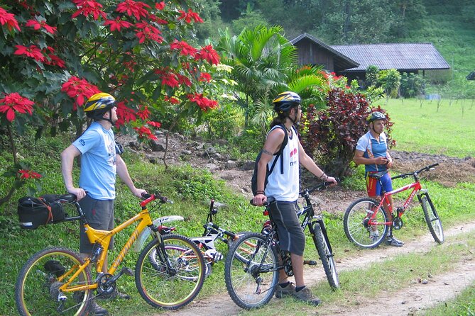 No.1 Chiang Mai: Advanced XC Downhill Biking, Doi Suthep N. Park - Forest plantation coffee stop