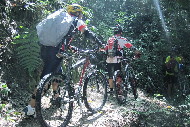 No.1 Chiang Mai: Advanced XC Downhill Biking, Doi Suthep N. Park - Finishing at Lake Huay Tueng Tao