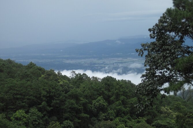 No.1 Chiang Mai: Advanced XC Downhill Biking, Doi Suthep N. Park - What the equipment and support really add