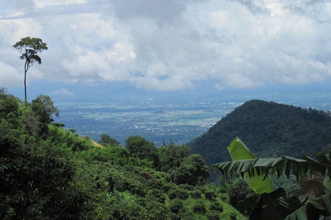 No.1 Chiang Mai: Advanced XC Downhill Biking, Doi Suthep N. Park - Is $80.67 good value?