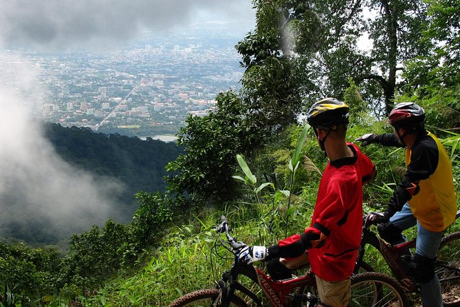 No.1 Chiang Mai: Epic Doi Suthep Downhill MTB Adventure - Two hours through jungle, plantations, and rough trail