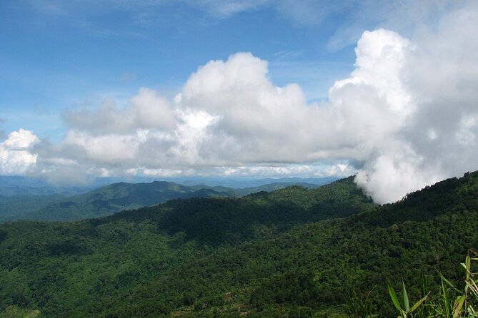No.1 Chiang Mai: Epic Doi Suthep Downhill MTB Adventure - Guides, group size, and the human side of the day
