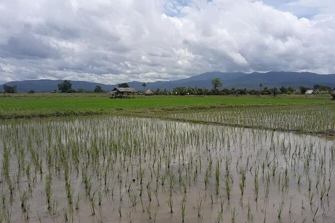 "No.1 Chiang Mai: Leisure Bicycle Ride to Lake Huay Tueng Tao" - Leaving Chiang Mai by bicycle