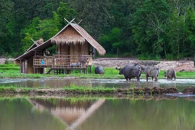 "No.1 Chiang Mai: Leisure Bicycle Ride to Lake Huay Tueng Tao" - Bike quality and guide support