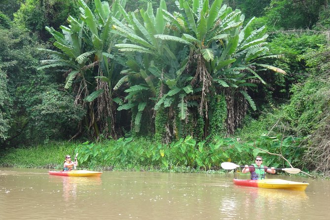 No.1 Chiang Mai: Leisure River Kayaking: Mae Taeng forest Reserve - Water buffalo, fishermen, and birds along the route