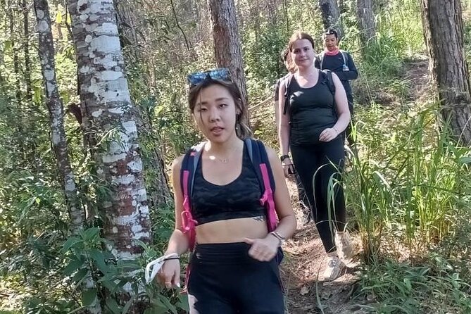 "No.1 Chiang Mai: Suthep N. Park Leisure walks & Mountain Biking" - Khun Chang Khian and lunch above the city