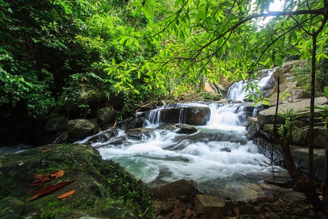 Off Road Safari Khao Lak - From your hotel to the Khao Lak rainforest