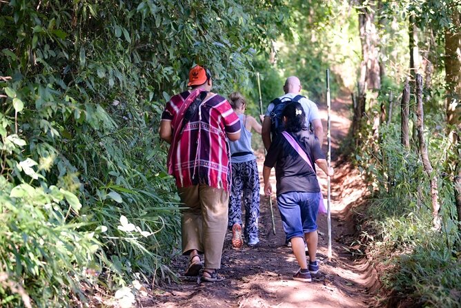 Off the Map Chiang Mai Jungle Coffee Trek Roast and Brew - Why this Chiang Mai coffee trip feels different
