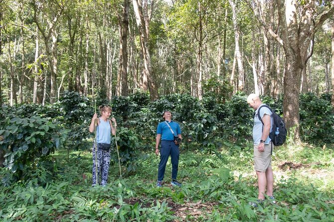 Off the Map Chiang Mai Jungle Coffee Trek Roast and Brew - Planting a coffee tree with the Karen community