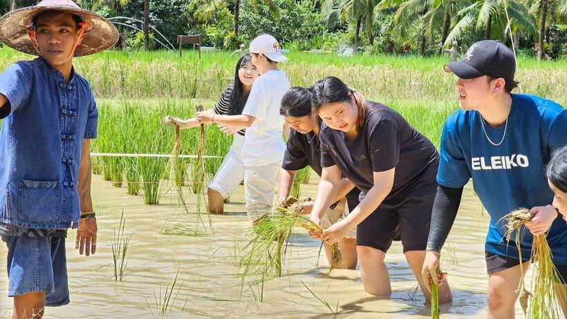 Old Phuket Farm Ticket - Countryside Local Life Culture - Practical details for planning your visit