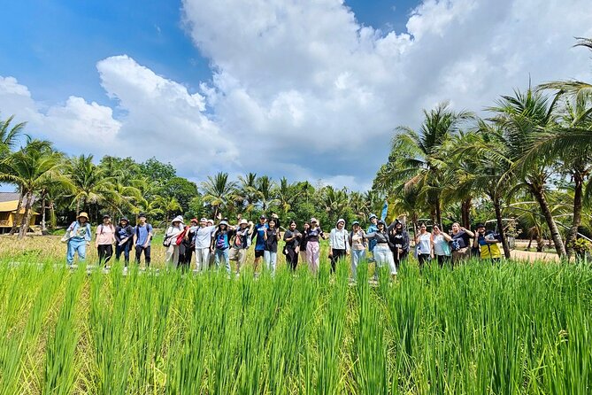Old Phuket Farm Ticket - Countryside Local Life Culture - Rice fields show the work behind a staple food