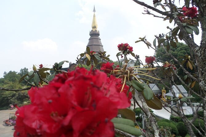 One day Doi Inthanon National Park & Trekking on Kew Mae Pan - Wachirathan Falls in a short 20-minute stop