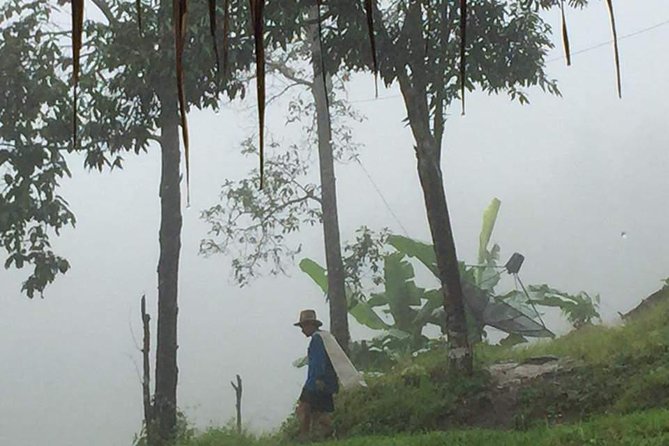 One day Elephants in Nature Experience & Grand Canyon Jumping - Two Chiang Mai attractions in one eight-and-a-half-hour day