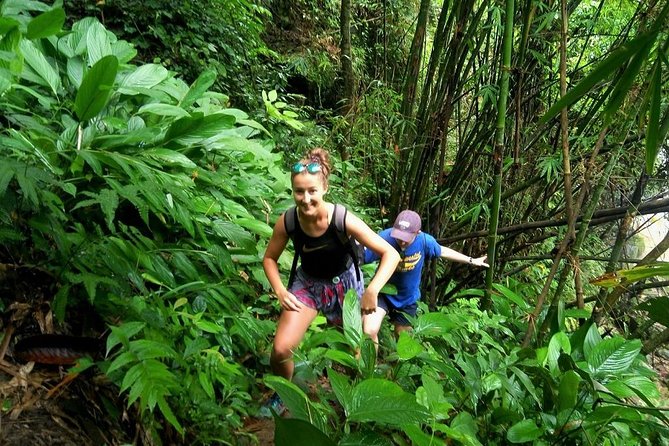 One Day Hiking and Elephant experience by Chiang Mai Elephant Home - Key points at a glance