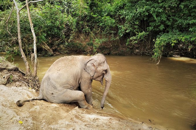 One Day Hiking and Elephant experience by Chiang Mai Elephant Home - Changing into a camp uniform and meeting the elephants