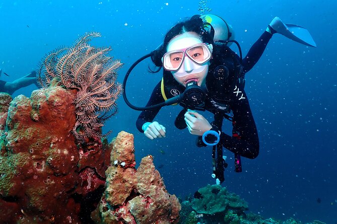 Open Water Course - Become certified diver in 3 days - Key points to know before booking