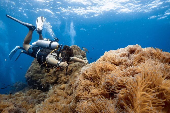 Open Water Course - Become certified diver in 3 days - Why Koh Tao works for a first scuba course