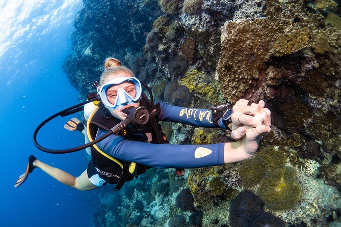Open Water Course - Become certified diver in 3 days - Boat trips, marine life, and lunch breaks