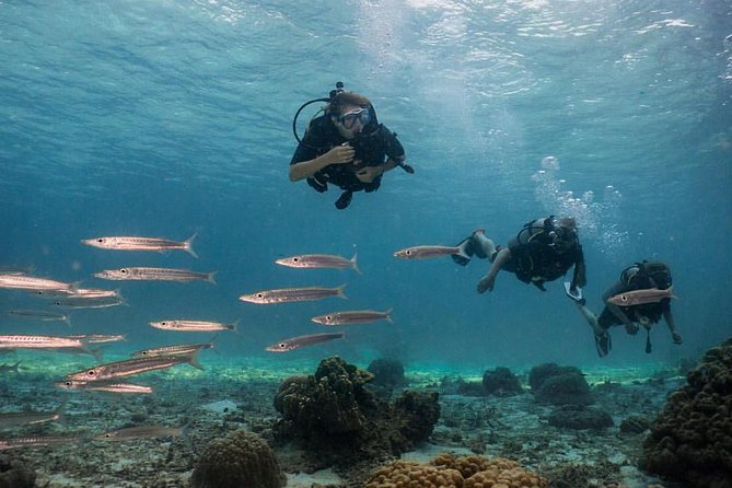 PADI Discover Scuba Diving Experience Full Day Trip - What a first-time scuba session involves