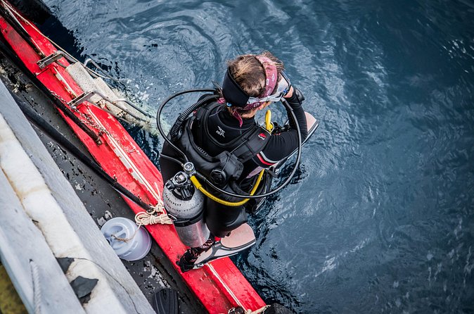 PADI Open Water Diver Course in Koh Phangan - Who should book this course?