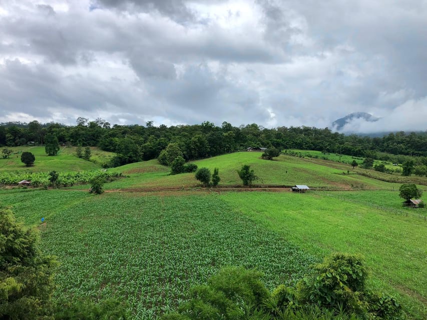 Pai: Ultimate Ziplining Adventure through the Jungle - Moving across 22 platforms in the jungle