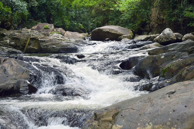 Pala U Waterfall in Kaeng Krachan Jungle with Private Guide from Hua Hin - Leaving Hua Hin for Huay Mongkol Temple