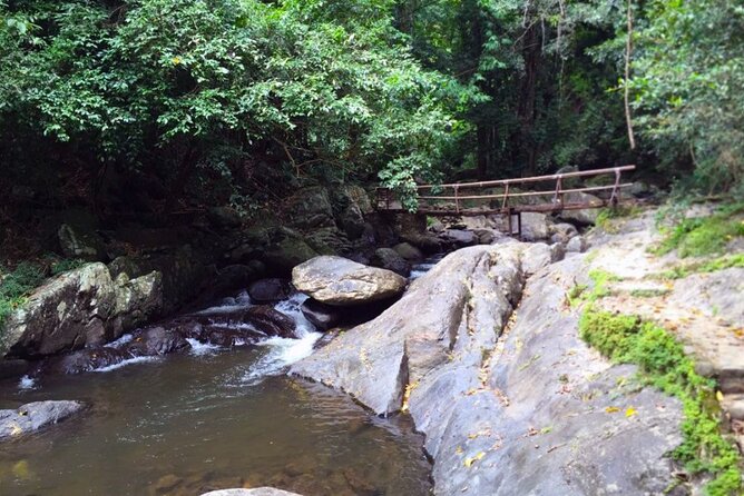 Pala U Waterfall in Kaeng Krachan Jungle with Private Guide from Hua Hin - The guide can shape the whole experience