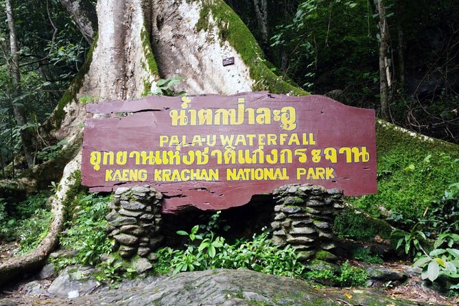 Pala U Waterfall in Kaeng Krachan Jungle with Private Guide from Hua Hin - Should you book Pa La-U Waterfall?